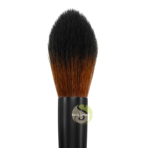 Pinceau contouring tapered contour