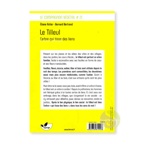 Le tilleul