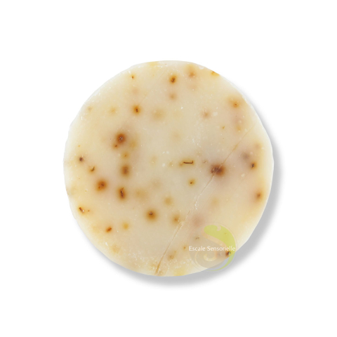 Savon varech de mer, citron vert & laurier