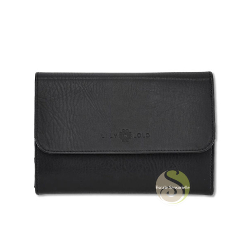 Trousse de maquillage 10 pinceaux