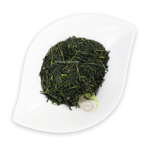 Thé shincha first flush bio gyokuro japonais 