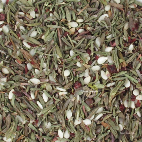 Libanaises Zaatar (mélange épices)