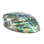 Coquille d'ormeau polie abalone rituels de purification