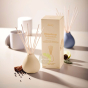 Himalayan cedarleaf diffuseur capillaire Aery Living bouquet parfumé