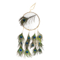 Capteur de rêves attrape rêves dreamcatcher amérindien plumes de paon
