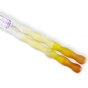 Baguettes en bois naturel gradient sunshine pour sushi ou maki