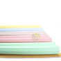 Baguettes pastels résistant 220°c japonaises pour cuisine asiatique