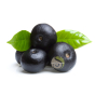 Baume à lèvre Le Papier acai vegan bio 100% biodégradable