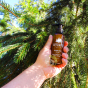 Cosmétique homme Bivouak Paris visage Bio