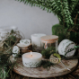Bougie plante naturelle mousse The Munio huille essentielle naturelle