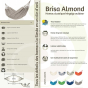 Hamac familial La Siesta 3 places brisa dolphin