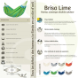 Hamac extérieur 2 personnes brisa La Siesta lime 