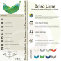 Hamac de couchage extérieur La Siesta brisa Lime ultra résistant