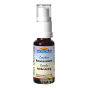 complexe fleurs de Bach Ressourcement  Bio spray