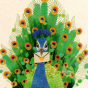 Carte postale paon en papier FSC organic avec enveloppe encre 100% naturelle