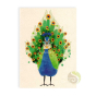 Carte postale double avec enveloppe paon papier FSC organic encre 100% naturelle