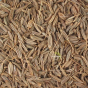 Carvi utilisation graines vertus digestives parfument viandes fromages