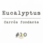 Carré fondants eucalyptus cire parfumée désodorisant d'intérieur