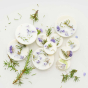 wax melt box juniper & limonium 100% vegan & GMO The Munio 
