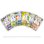 5 poudres de bain en coffret cadeau collection santé au sel d'epsom Dresdner Essenz