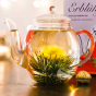 Coffret découvert fleurs de thé et théière 500 ml borosilicate
