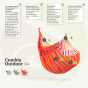 Points forts Cumbia toucan outdoor fauteuil hamac