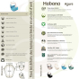 Hamac habana azure 100% bio coton certifié GOTS La siesta