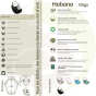 Habana onyx fauteuil hamac coton bio certifié Gots La Siesta