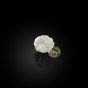 Carbone pur diamant brut 1 carat pour collection