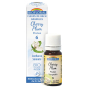 Cherry plum fleur de Bach Bio sans alcool granules
