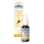 Fleur de bach 7 Bourgeon de marronnier chesnut bud gouttes