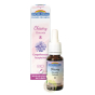 Chicory fleur de Bach gouttes Bio Biofloral chicorée
