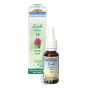 Mélèze Larch fleur de bach bio utilisation courage espoir