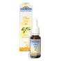 Olivier fleur de BACH vertus bienfaits Olive N°23