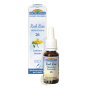 Rock Rose Hélianthème fleur de Bach bio N°26 gouttes