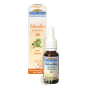 Scleranthus fleur de Bach Bio contre les doutes scléranthe