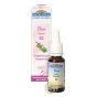 Vine Fleur de Bach Bio gouttes don de soi autorité naturelle