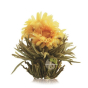 Fleur de calendula et pivoine Queen of gold thé blanc aiguille d'argent