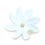 Tiaré Gardenia Tahitensis Monoï fleur Tahiti amour parfum romantisme