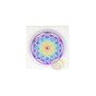 Symbole fleur de vie autocollant 3D multicolore sticker géométrie sacrée