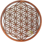Plateau 22 cm fleur de vie en bois brun applique murale