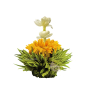 Fleur constitué thé vert, pétales calendula et jasmin arôme pêche