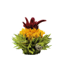 Fleur constitué thé vert, pétales d'hibiscus et calendula arôme mangue
