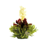 Fleur constitué thé vert, pétales d'hibiscus et jasmin arôme framboise