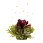 Fleur constitué thé vert, pétales d'hibiscus et sureau arôme cerise