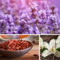 Galet effervescent lavande, bergamote et bois de santal Dresdner Essenz
