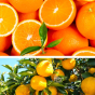 Gel douche orange yuzu certifié Natrue Dresdner Essenz