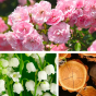 Gel douche rose, jasmin, orchidée, cèdre et musc Dresdner Essenz