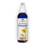 Hamamélis eau florale Naturado hydrolat Bio bienfaits circulation sanguine