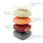 Éponge konjac kongy 100% naturelles tous types de peaux
